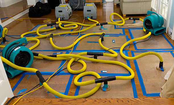 Professional Structural Drying And Dehumidification technician working in Malinta, OH